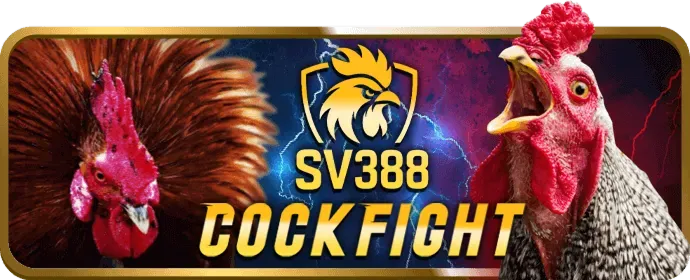Giấy phép hoạt động 89bet